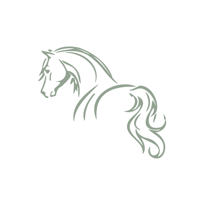 Verlade- und Fahrtraining